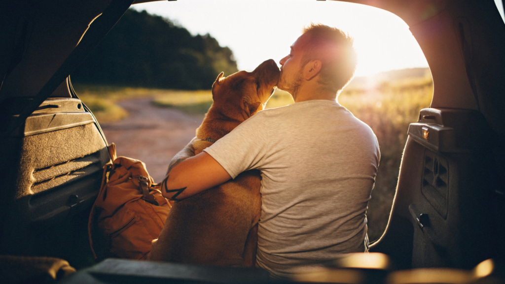 Dog Travel Gear